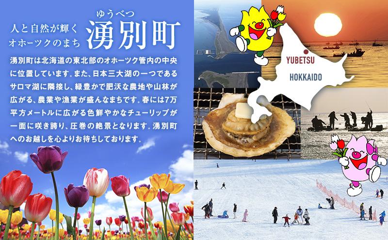 北海道湧別町 寄附のみの応援受付 1,000円コース（返礼品なし 寄附のみ 1000円）