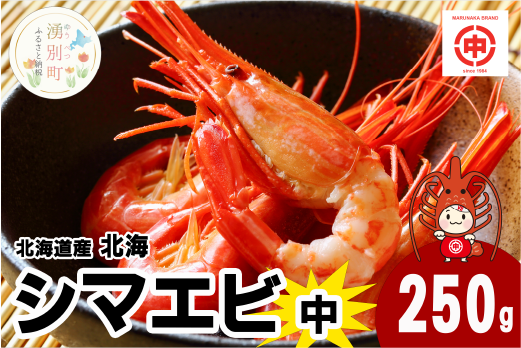 ≪12月22日決済分まで年内配送≫北海道産　北海シマエビ　中　２５０g　しまえび　海老　えび　エビ　