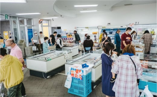 【国内消費拡大求む】北海道サロマ湖産【COYSTER（むき身）×1+2年物殻付き龍宮牡蠣3kg】カキナイフ付　カキ　海鮮　魚貝　国産　生食　剥き身　生牡蠣　蒸し牡蠣　冷蔵　産地直送　サロマ湖　オホーツク　北海道　湧別町