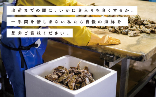 【国内消費拡大求む】≪先行予約2024年11月から配送≫[No.5930-0249]北海道サロマ湖産　貝付きホタテ6枚・カキ約2kg　帆立　ほたて　刺身　玉冷　牡蠣　かき　　海鮮　魚貝　国産　殻付き　貝付き　冷蔵　サロマ湖　オホーツク　北海道