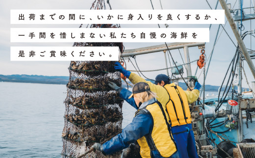 【国内消費拡大求む】≪先行予約2024年11月から配送≫[No.5930-0251]北海道サロマ湖産　貝付きホタテ12枚　帆立　ほたて　刺身　玉冷　海鮮　魚貝　国産　殻付き　貝付き　冷蔵　サロマ湖　オホーツク　北海道