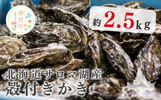 【国内消費拡大求む】[No.5930-0291]北海道サロマ湖産　殻付きかき2.5kg　かき　海鮮　魚貝　国産　貝付き　生牡蠣　生食　焼き牡蠣　蒸し牡蠣　冷蔵　産地直送　サロマ湖　オホーツク　北海道　湧別