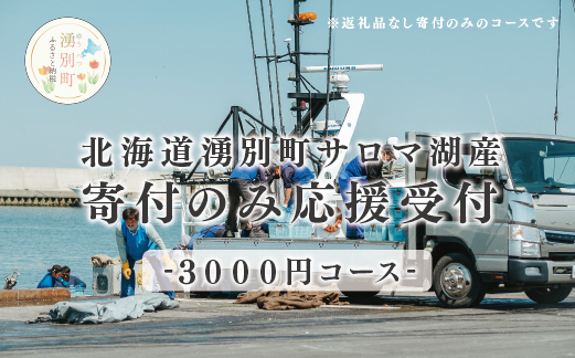 北海道湧別町　寄附のみの応援受付　3,000円コース（返礼品なし　寄附のみ　3,000円）