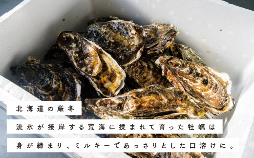 【国内消費拡大求む】[No.5930-0291]北海道サロマ湖産　殻付きかき2.5kg　かき　海鮮　魚貝　国産　貝付き　生牡蠣　生食　焼き牡蠣　蒸し牡蠣　冷蔵　産地直送　サロマ湖　オホーツク　北海道　湧別