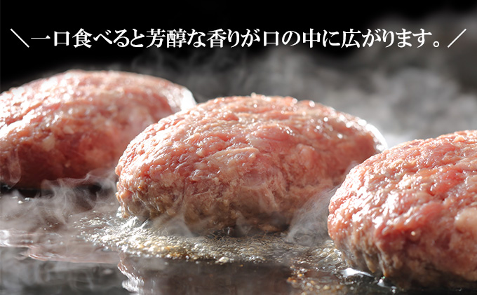 とようらポーク3kg ひき肉 小分け 北海道豊浦産 SPF豚