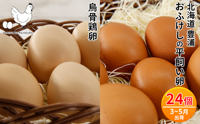 北海道 豊浦 おふけしの平飼い卵18個＋BioPio 烏骨鶏卵 6個【3月～5月