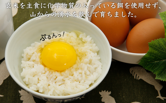 北海道 豊浦 おふけしの平飼い卵 48個【10月～12月出荷】