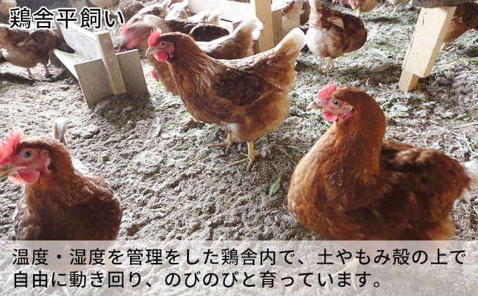 北海道 豊浦 おふけしの平飼い卵 48個【10月～12月出荷】