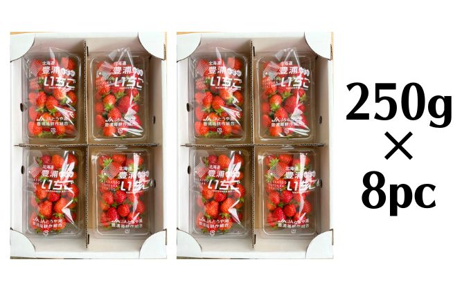 北海道 豊浦 いちご 加工用 小粒 けんたろう 250g×8パック 約2kg 農園直送 採れたて 新鮮 産直 苺 ストロベリー