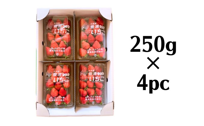 北海道 豊浦 いちご 小玉 けんたろう 250g×4パック1箱 約1kg 農園直送 採れたて 新鮮 産直 苺 ストロベリー