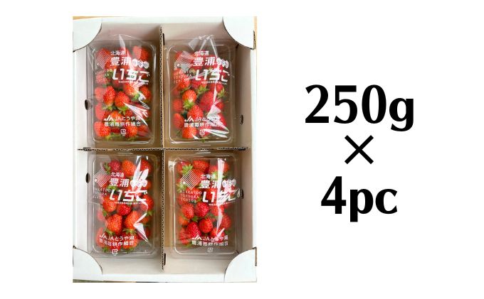 北海道 豊浦 いちご 加工用 小粒 けんたろう 250g×4パック1箱 約1kg 農園直送 採れたて 新鮮 産直 苺 ストロベリー