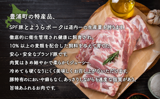 とようらポーク2.4kg ひき肉 小分け 北海道豊浦産 SPF豚  TYUO060