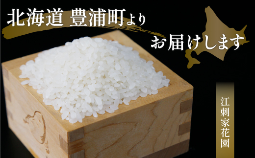 ■6ヵ月連続お届け【定期便 6回】北海道 豊浦 令和5年産 精米 ななつぼし 5kg  TYUQ005