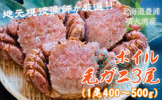 【令和7年度発送先行予約】【地元現役漁師が厳選！！】ボイル・毛ガニ3尾（1尾400〜500g）北海道 豊浦 噴火湾  TYUR009