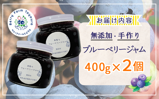 北海道 豊浦町産 無添加手作り ブルーベリージャム400g×2個  TYUS018