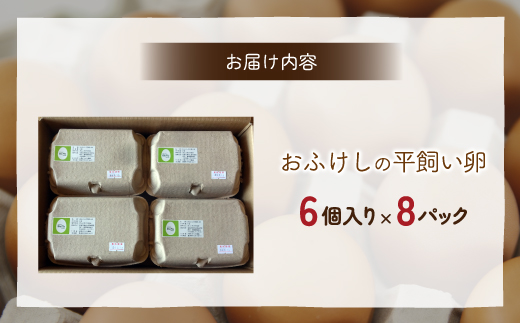 北海道 豊浦 おふけしの平飼い卵 48個  TYUZ003