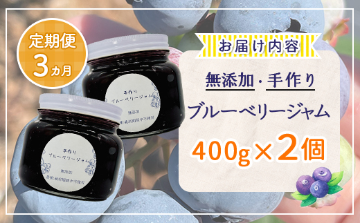 【定期便3カ月】北海道 豊浦町産 無添加手作り ブルーベリージャム400g×2個  TYUS007