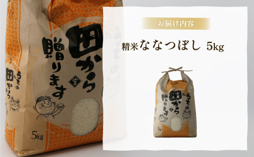 北海道 豊浦 令和5年産 精米 ななつぼし 5kg  TYUQ003