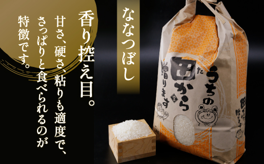 ■6ヵ月連続お届け【定期便 6回】北海道 豊浦 令和5年産 精米 ななつぼし 5kg  TYUQ005