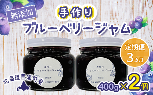 【定期便3カ月】北海道 豊浦町産 無添加手作り ブルーベリージャム400g×2個  TYUS007