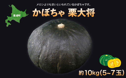 北海道 豊浦町 かぼちゃ 栗大将 約10kg 5〜7玉 TYUL003