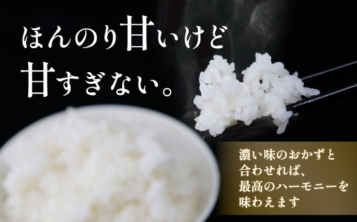 ■3ヵ月連続お届け【定期便 3回】北海道 豊浦 令和5年産 精米 ななつぼし 5kg  TYUQ004