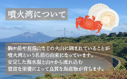 【訳あり】 北海道 豊浦 噴火湾 ズワイガニ 約1.5～2kg（4～6尾） 数量限定 TYUR041