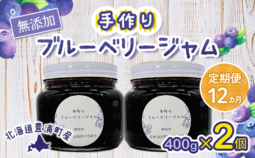 【定期便12カ月】北海道 豊浦町産 無添加手作り ブルーベリージャム400g×2個  TYUS002