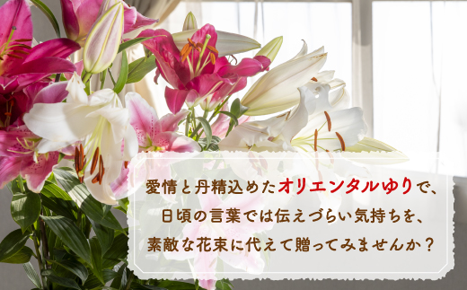 【2カ月定期便】福原さん家のオリエンタルゆりの花束 10本（3〜5輪） TYUAB005