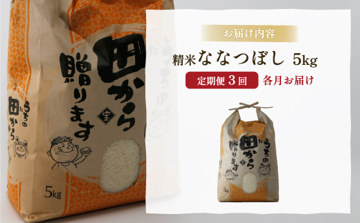 ■3ヵ月連続お届け【定期便 3回】北海道 豊浦 令和5年産 精米 ななつぼし 5kg  TYUQ004