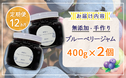 【定期便12カ月】北海道 豊浦町産 無添加手作り ブルーベリージャム400g×2個  TYUS002