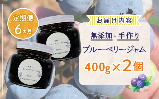 【定期便6カ月】北海道 豊浦町産 無添加手作り ブルーベリージャム400g×2個  TYUS012