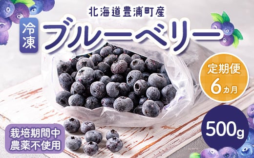 【定期便6カ月】北海道 豊浦町産 冷凍 ブルーベリー 500g 栽培期間中農薬不使用  TYUS015