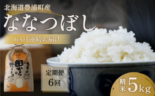 ■6ヵ月連続お届け【定期便 6回】北海道 豊浦 令和5年産 精米 ななつぼし 5kg  TYUQ005