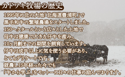 北海道 黒毛和牛 カドワキ牛 モモ スライス 1.05〜1.1kg【冷蔵】  TYUAE007
