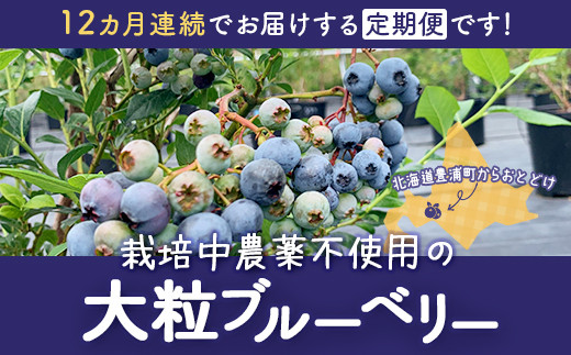 【定期便12カ月】北海道 豊浦町産 冷凍 ブルーベリー 500g 栽培期間中農薬不使用  TYUS005