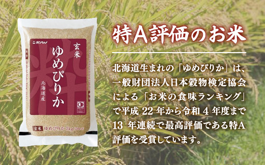 【令和6年産新米 定期配送10ヵ月】ホクレン ゆめぴりか 玄米6kg（3kg×2） TYUA048