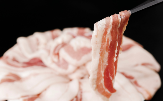 豚肉 バラ とようらポーク 1.2kg 豚バラ スライス 小分け 北海道 豊浦産 SPF豚  TYUO071