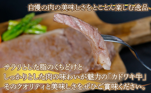 北海道 黒毛和牛 カドワキ牛 サーロイン ステーキ 2枚 200〜220g/枚【冷蔵】  TYUAE003