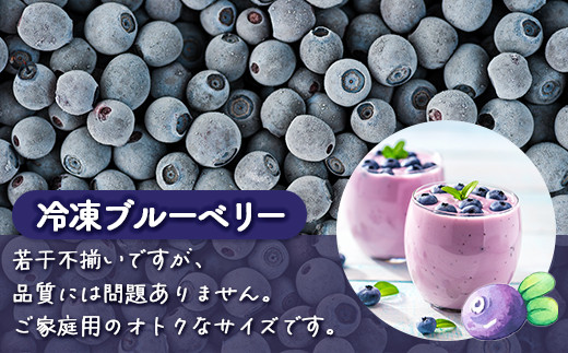 【定期便3カ月】北海道 豊浦町産 冷凍 ブルーベリー 500g 栽培期間中農薬不使用  TYUS010