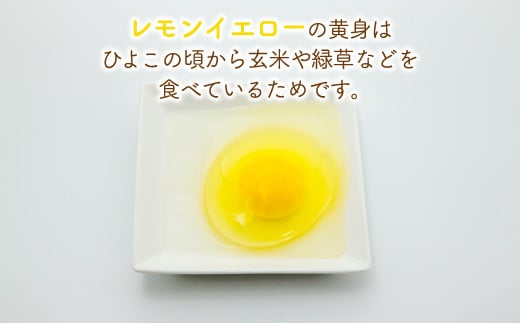北海道 豊浦 おふけしの平飼い卵 24個  TYUZ001