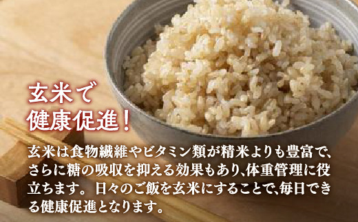 【令和6年産新米 隔月配送5ヵ月】ホクレン ゆめぴりか 玄米12kg（3kg×4） TYUA051