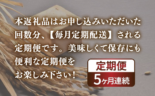 【令和6年産新米 定期配送5ヵ月】ホクレン ゆめぴりか 精米10kg（5kg×2） TYUA007