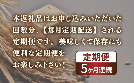 【令和6年産新米 定期配送5ヵ月】ホクレン ゆめぴりか 無洗米10kg（5kg×2） TYUA026