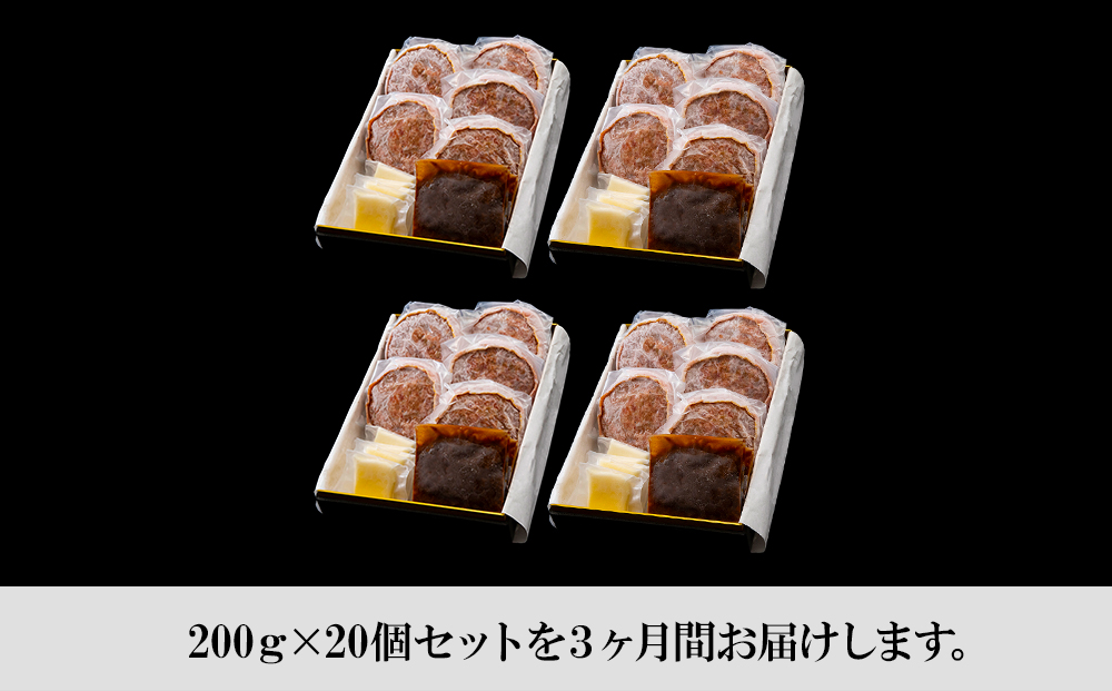 定期便3カ月 お楽しみ 白老牛 Ｗチーズ ハンバーグ セット 20個