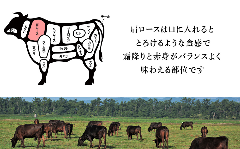 北海道 白老産 黒毛和牛 肩ロース すき焼き 700g (3・4人前) 