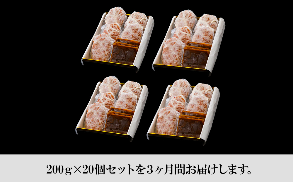 定期便3カ月 お楽しみ 白老牛 ジューシー ハンバーグ セット 20個 網脂