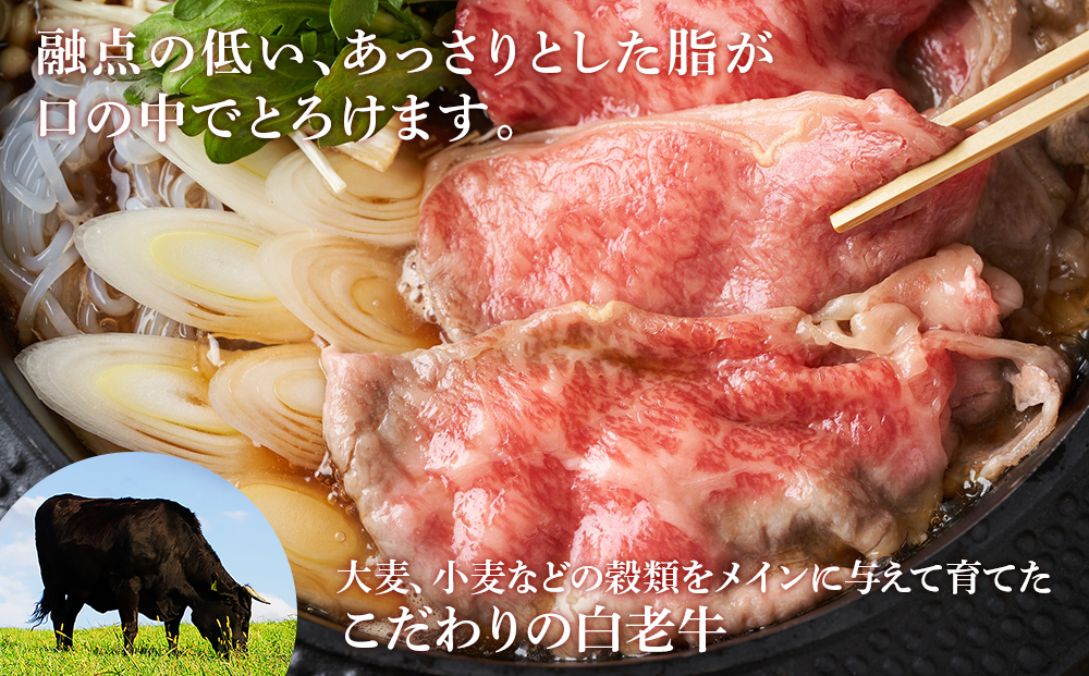 北海道 白老産 黒毛和牛 肩ロース すき焼き 700g (3・4人前) 