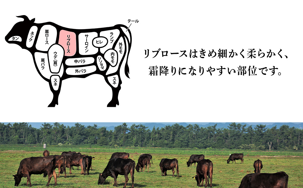 北海道 白老産 黒毛和牛 リブロース すき焼き 500ｇ (2・3人前)
