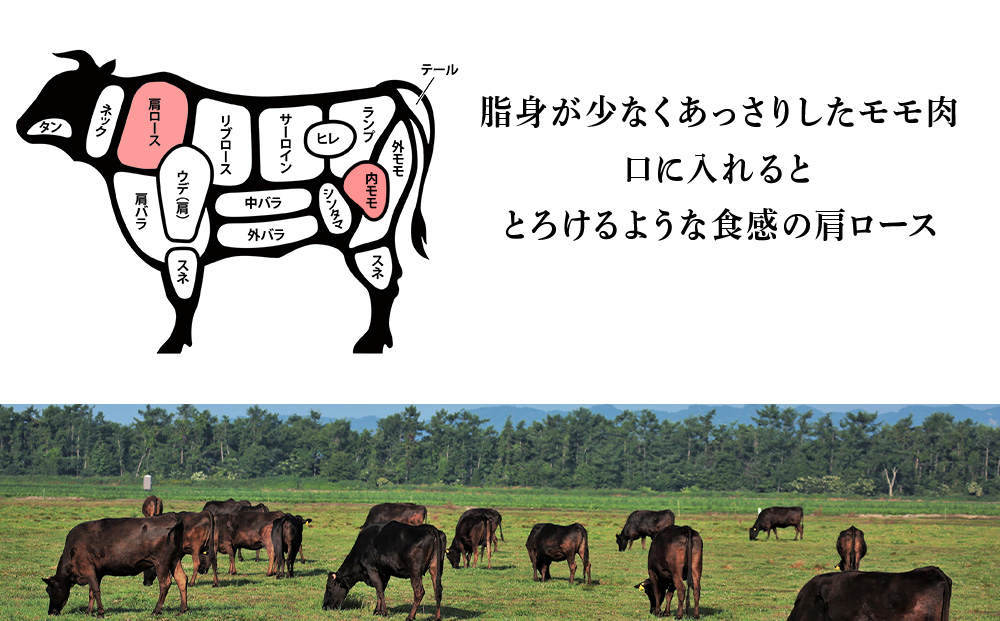 北海道 白老産 黒毛和牛 すき焼き 食べ比べ 計1kg (特上モモ・肩ロース 各500g)